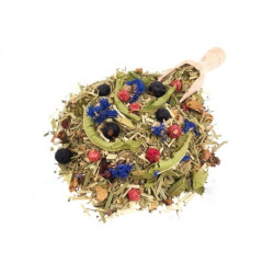 Boîte sachets individuels - Forêt enchanthé 2