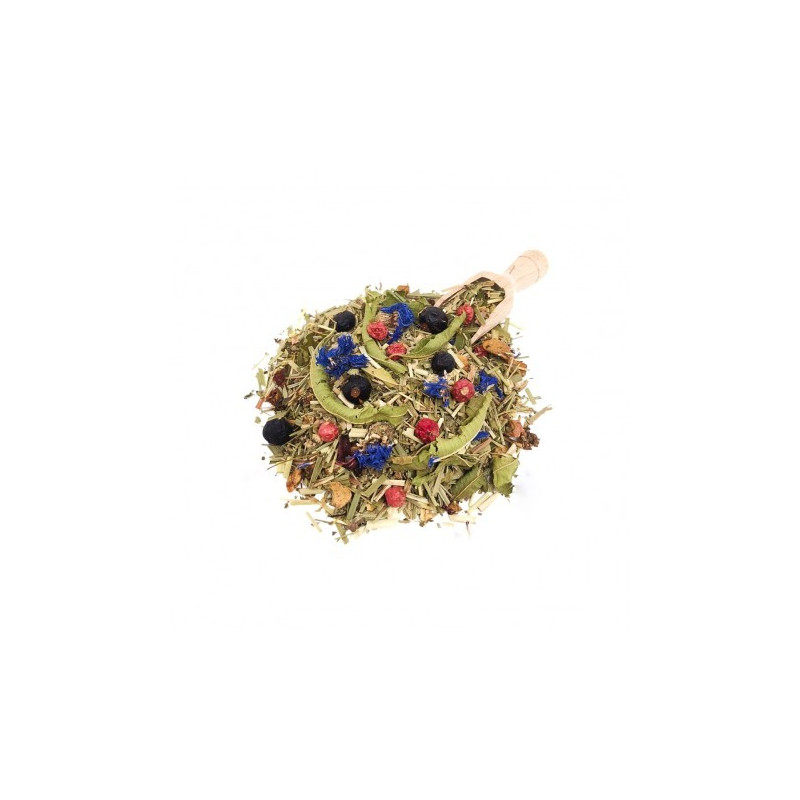 Boîte sachets individuels - Forêt enchanthé