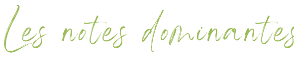 Saveurs dominantes-3.png