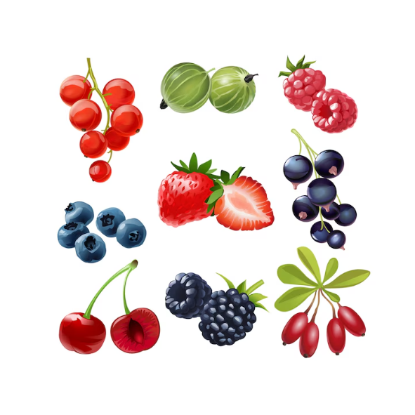 fruits rouges.png