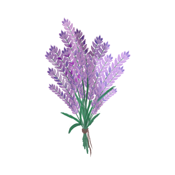 ananas.png